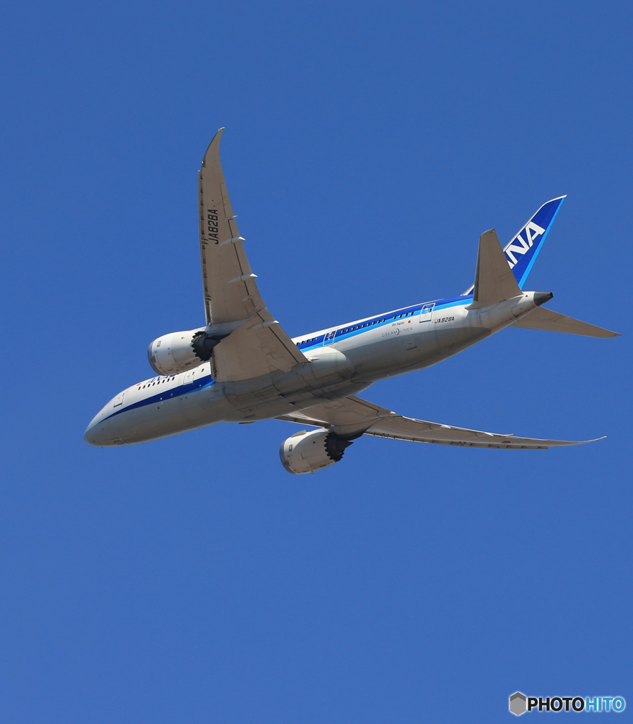 「あおいそら」 ANA 787-8 JA828A Takeoff 