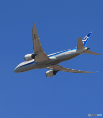 「あおいそら」 ANA 787-8 JA828A Takeoff 