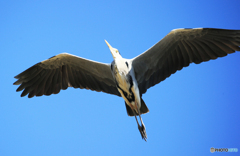 「cool」~ 上・昇・気・分 ~