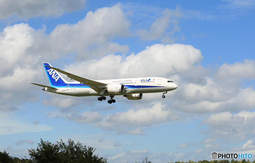 「すかい」 ANA 787-8 JA834A Landing