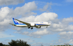 「すかい」 ANA 787-8 JA834A Landing