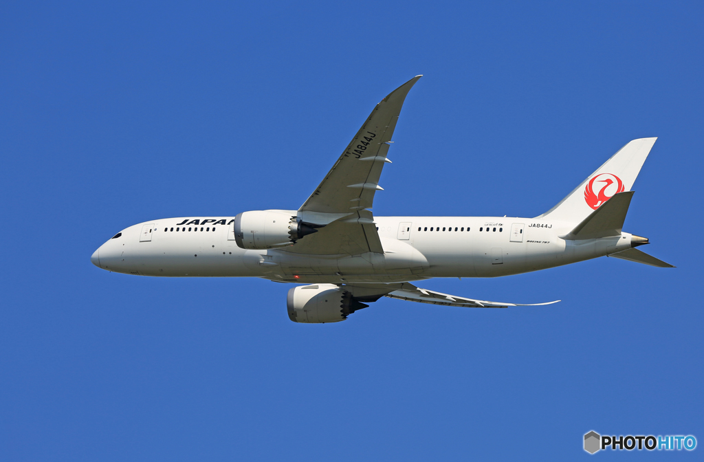 「スカイ」 JAL 787-8 JA844J Takeoff