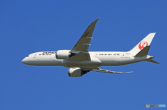 「スカイ」 JAL 787-8 JA844J Takeoff