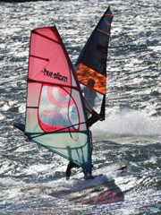 「青が大好き」東京湾をクロスする・ウインドサーフィン 　