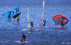 「スカイ」おっとと〜　うき ウキ 浮き ウイング ・ウインドサーフィン
