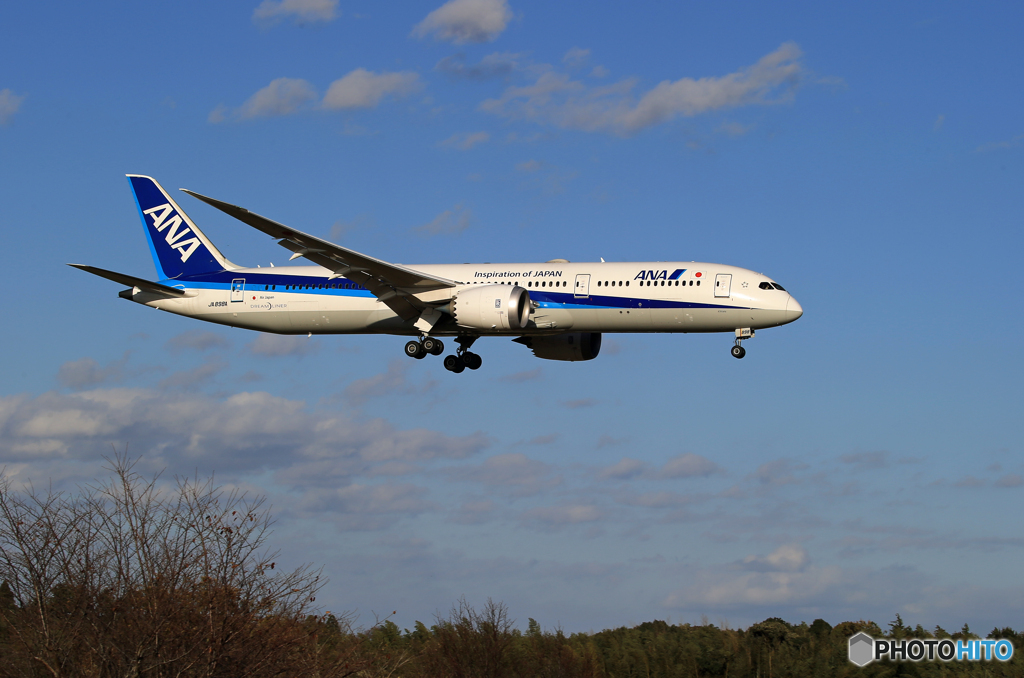 「スカイ」ANA 787-9 JA898A   Landing