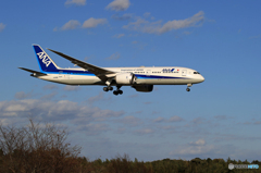 「スカイ」ANA 787-9 JA898A   Landing