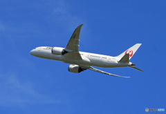 「すかい」JAL 787-8 JA844J Takeoff  Landing