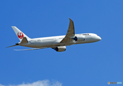 「すかい」 JAL 787-9 JA870J 飛び立ち
