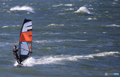 「はれー」ポーズを決める・ウインドサーフィン