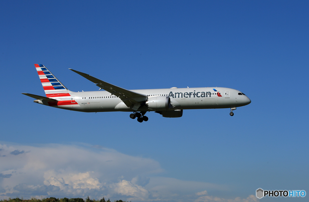 「青が大好き」American 787-8 N832AA 到着