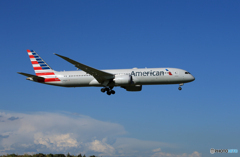 「青が大好き」American 787-8 N832AA 到着