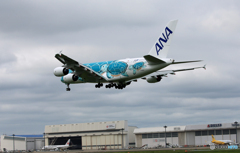 「くもり」ANA A380-841 JA382A  Landing