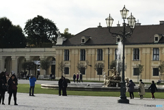 「cool」シェーンブルン（１０３１）宮殿とお庭の噴水	　