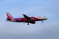 ☀「あおぞら」 Peach A320-214 JA820P Landing