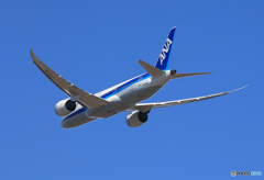 「真青の空」 ANA 787-8 JA845A 出発