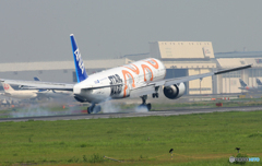 「あおぞら」? STAR WARS JA789A Landing
