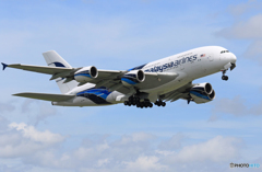 「晴れ」 Malaysia A380-841 9M-MNC 飛ぶ