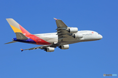  「晴れ」 ASIANA A380-841 HL7625 飛ぶ