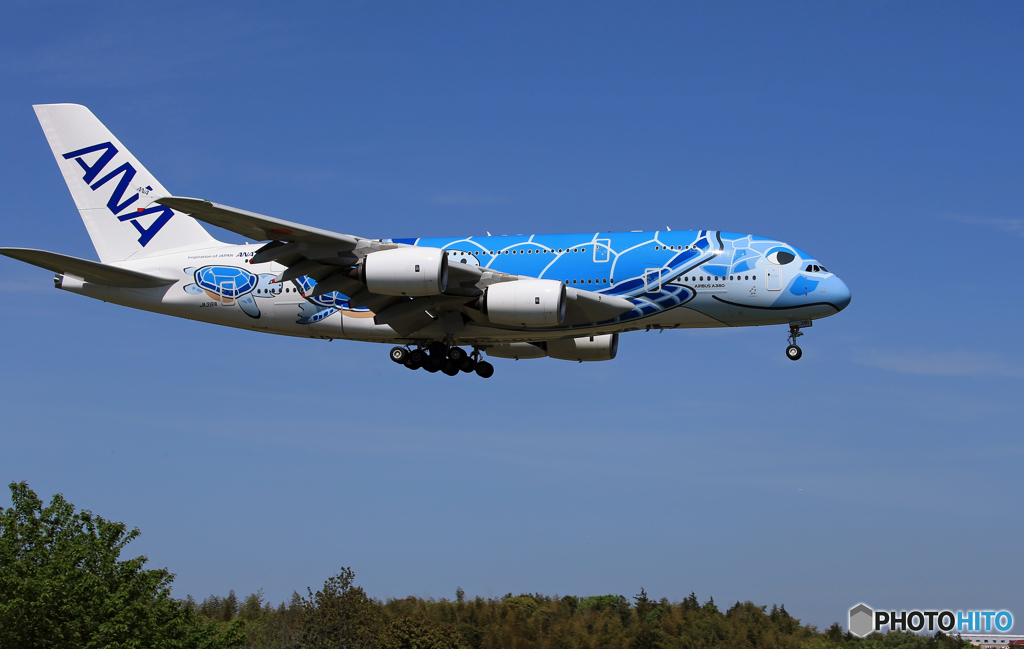 「平成」-「令和」 A380-841「Flying Honu」JA381A