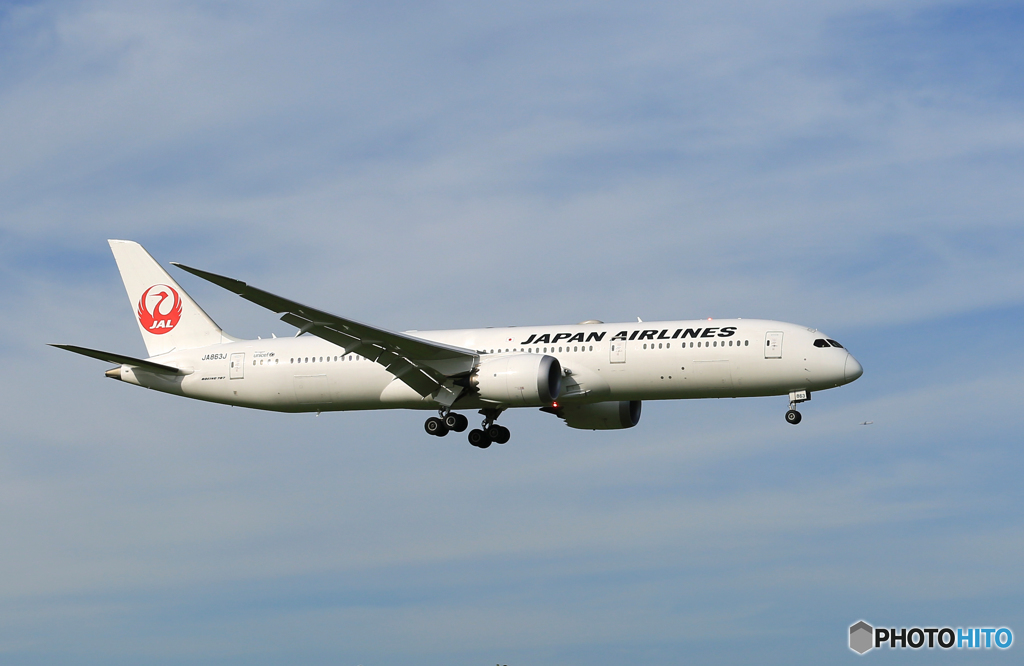 「青色が好き」 JAL 787-9 JA863J 通過