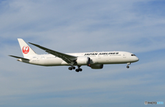 「青色が好き」 JAL 787-9 JA863J 通過