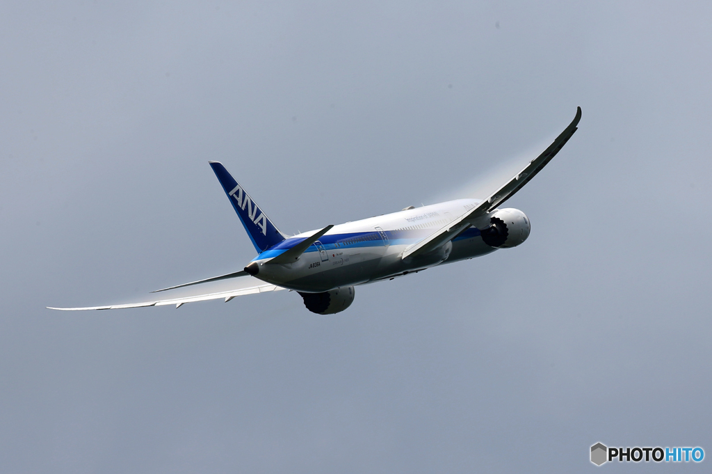 「群青色」ANA 787-8 JA836A 離陸