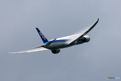 「群青色」ANA 787-8 JA836A 離陸