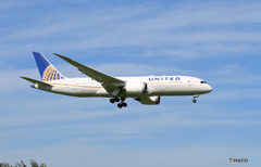 「青空」 United 787-8 N29907 到着です