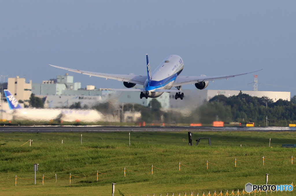 「晴れ」 ANA フラワージェット JA85AN 飛ぶ