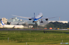 「晴れ」 ANA フラワージェット JA85AN 飛ぶ