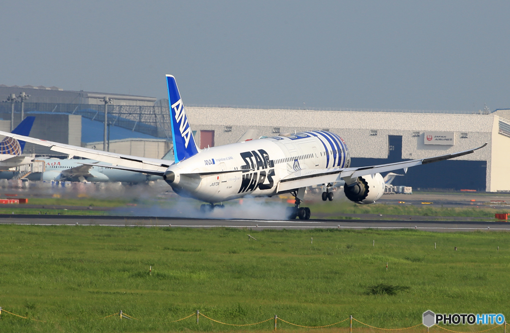 「曇り」 STAR WARS 787-8  Landing 