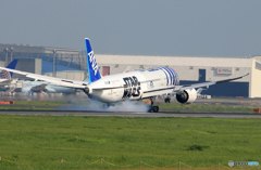 「曇り」 STAR WARS 787-8  Landing 