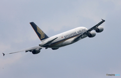 「群青」 Singapore A380-841 9V-SKP 飛ぶ