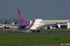 「あおいそら」タイ航空　A380-841 HS-TUE  到着