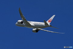 「群青」 JAL 787-8 JA844J 出発です