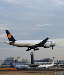 「群青」 Lufthansa 767 D-ALFC Landing 