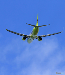 「青色」 JIN AIR 737 飛行