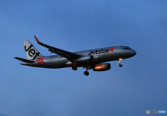 「青が大好き」 Jet ster A320-232 JA04JJ Landing