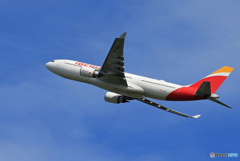 「青色が好き」Iberia A330-202 EC-MNL 飛行