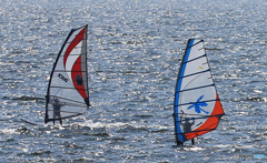 「青い日」や〜　元気でした　(1)