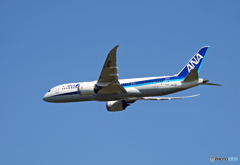 「青が好き」 ANA 787-8 JA878A Takeoff