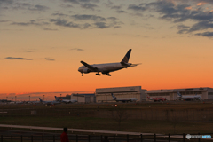 ☮シルエット・ユナイテッド B777☮