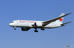 「すかい」 AIR CANADA 787-8 C-GHPT来た～