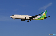 [青い空] 春秋 A320 JA05GR 着陸