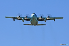 ☮休憩ﾀｲﾑ(647)  ハーキュリーズ　KC-130H