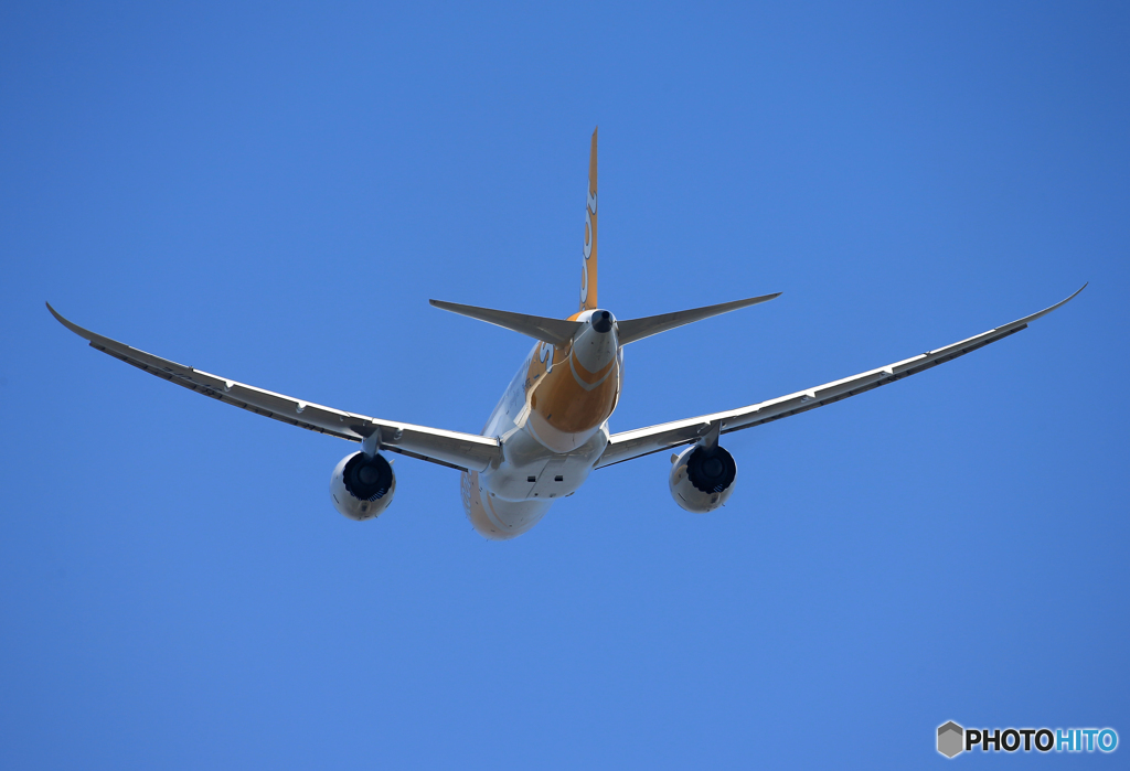 「空色」 scoot 787-8 9V-OFE 出発