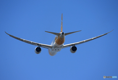 「空色」 scoot 787-8 9V-OFE 出発