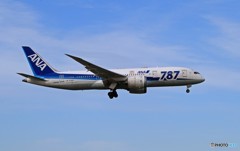  「晴れ」ANA 787-8 JA814A 通過