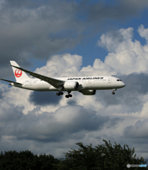 「曇り」? JAL 787-8  JA836J  Landing 
